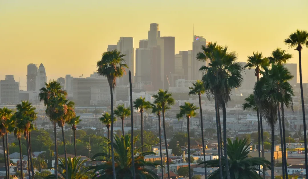 California PTET Strategy: How High Earners Are Legally Working Around the SALT Cap